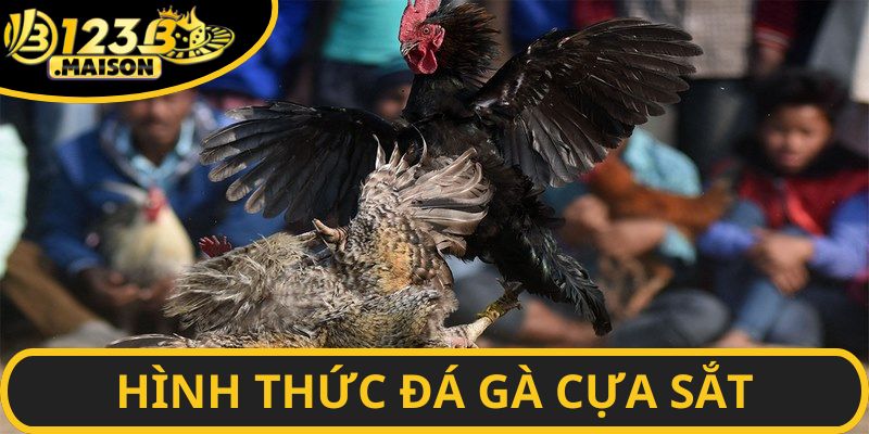 Trải nghiệm loại hình cựa sắt tại điểm cược