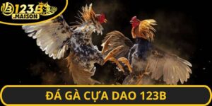 Những ưu điểm nổi bật giúp khách hàng chọn tin tưởng nhà cái