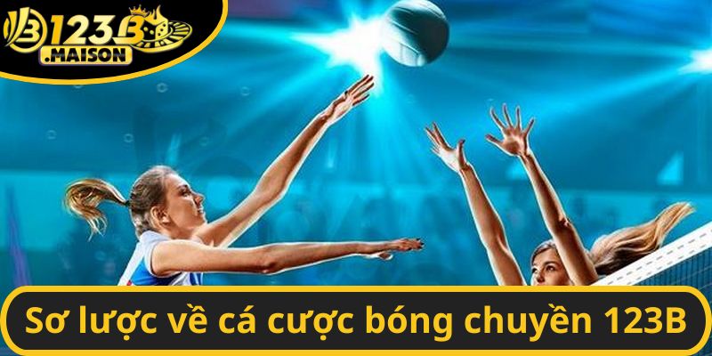 Các loại cược bóng chuyền cơ bản tại 123B